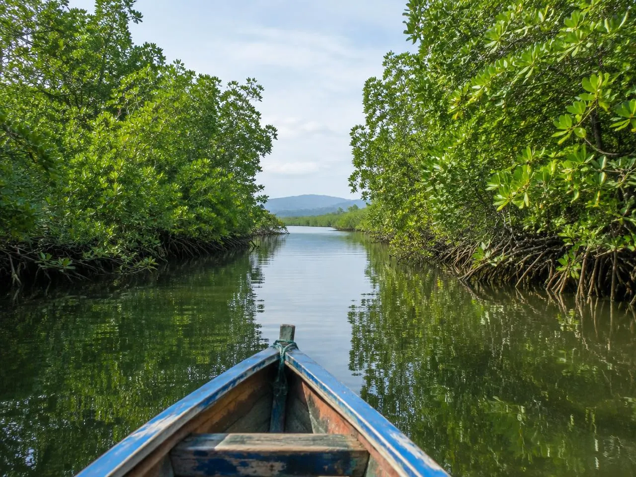 Lancha entre manglares en la Laguna de Coyuca